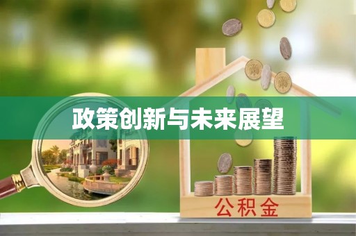 天峻政策创新与未来展望