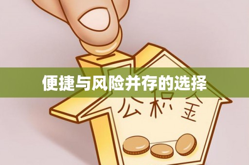 天峻便捷与风险并存的选择